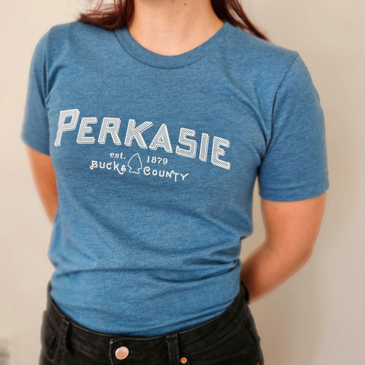 Perkasie Lenape spearhead graphic t-shirt - heather deep teal
