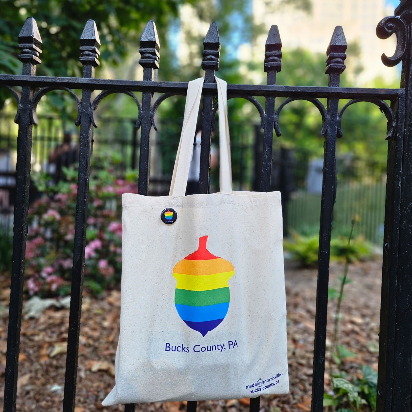 Rainbow Acorn / Bucks County canvas tote bag - 8oz