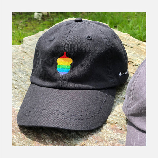 Acorn Needlepoint Hat, black with a rainbow or white acorn