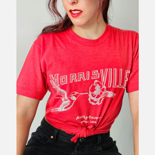 Hummingbird / Morrisville graphic T-shirt - heather red