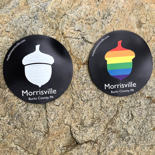 Rainbow / White Acorn Morrisville Magnet
